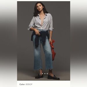 PAIGE Anessa High-Rise Wide Leg Crop Jeans in Bebop